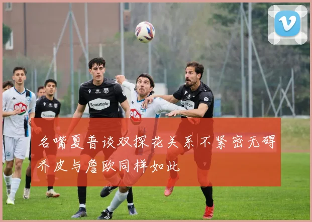 名嘴夏普谈双探花关系不紧密无碍乔皮与詹欧同样如此