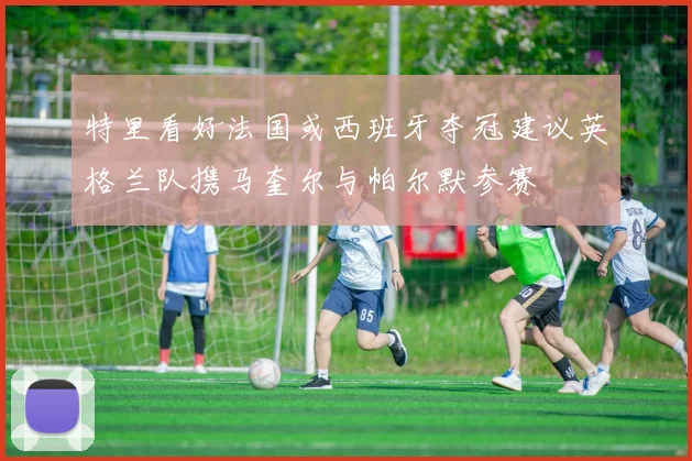 特里看好法国或西班牙夺冠建议英格兰队携马奎尔与帕尔默参赛